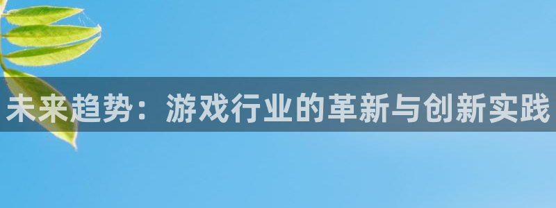长征娱乐怎么注册：未来趋势：游戏行业的革新与创新实践