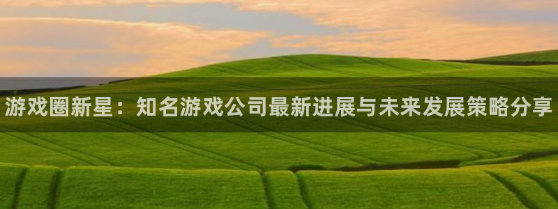 长征娱乐测速登陆：游戏圈新星：知名游戏公司最新进展与未来发展