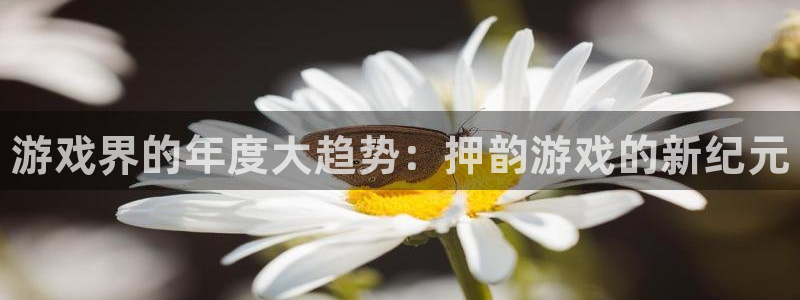 长征娱乐升级5994月：游戏界的年度大趋势：押韵游戏的新纪元
