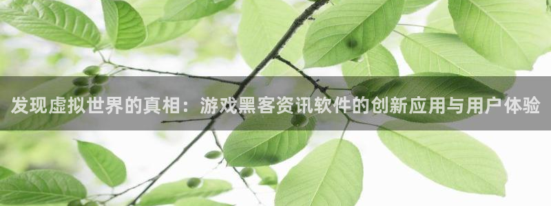 长征娱乐平台：发现虚拟世界的真相：游戏黑客资讯软件的创新应用