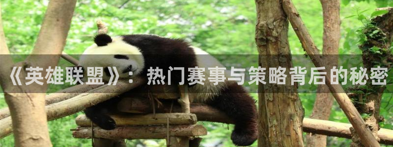 长征娱乐平台官网注册：《英雄联盟》：热门赛事与策略背后的秘密