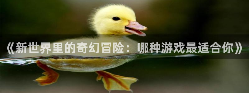 长征娱乐注册登录平台：《新世界里的奇幻冒险：哪种游戏最适合你