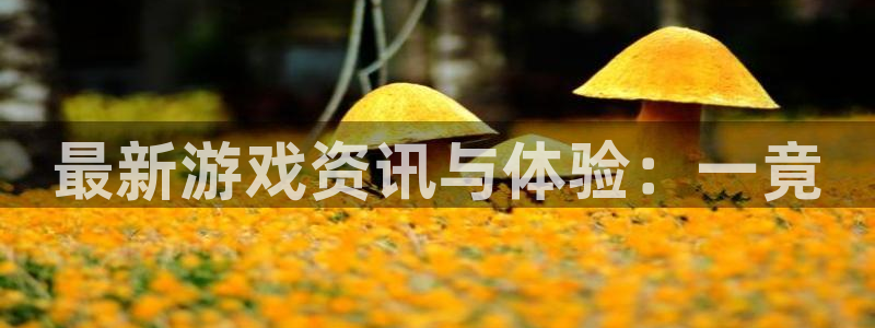 长征娱乐登陆测速：最新游戏资讯与体验：一竟