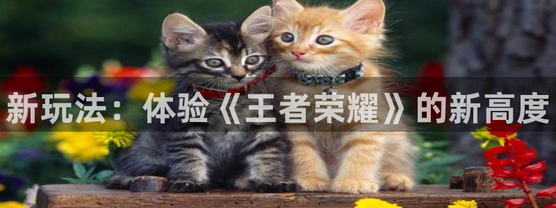 沐春长征娱乐：新玩法：体验《王者荣耀》的新高度