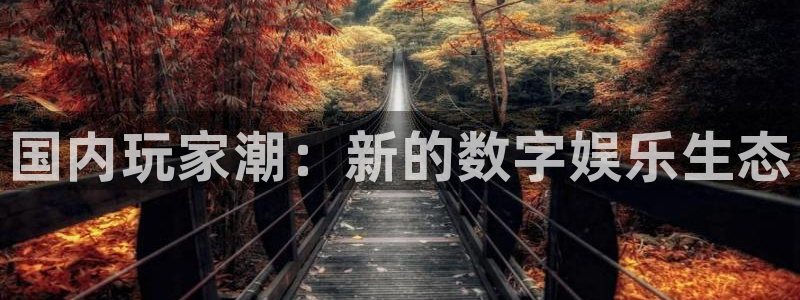 长征娱乐网址官网：国内玩家潮：新的数字娱乐生态