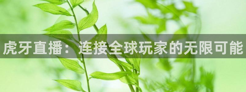 919直播间：虎牙直播：连接全球玩家的无限可能